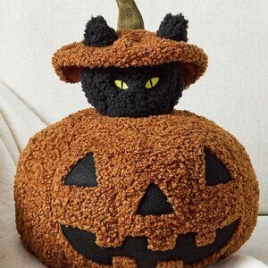 SOLD ON EBAY Peek A Boo Cat Pillow from POTTERY BARN 🎃🐈‍⬛